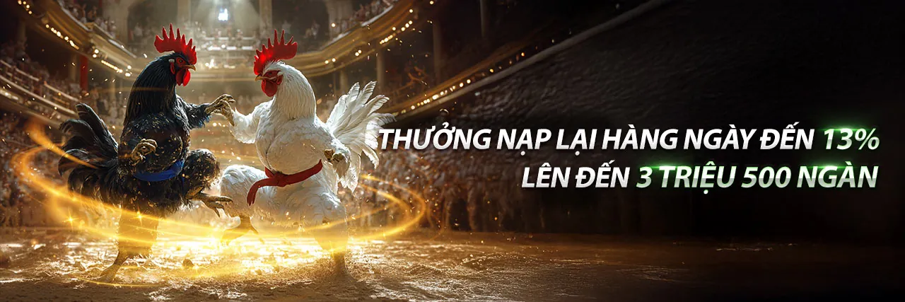 Đá gà sv388 sll trực tuyến kịch tính tại EE88